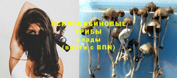 PSILOCYBIN Магадан