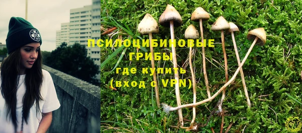 мет Магас