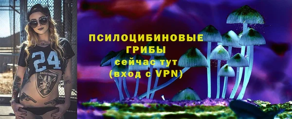мет Магас