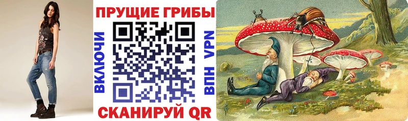 даркнет официальный сайт  Яхрома  Псилоцибиновые грибы Psilocybe 